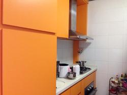 Blk 1C The Pinnacle@Duxton (Bukit Merah), HDB 4 Rooms #64056512